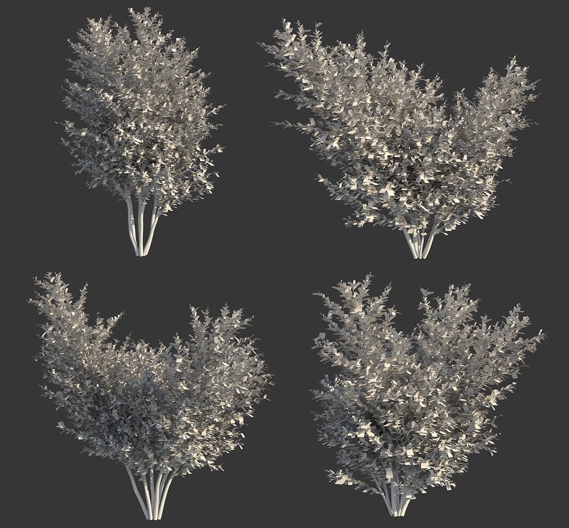 bushes 3D model https://p.turbosquid.com/ts-thumb/M4/6oQ7Bi/TN4vSbGk/bb_collection24/jpg/1541271315/1920x1080/fit_q87/059ca57bb8ceb09a76b5dda909bfd7178122adf4/bb_collection24.jpg