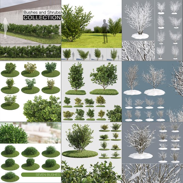 shrubs 3d models/ 3d модели кустов