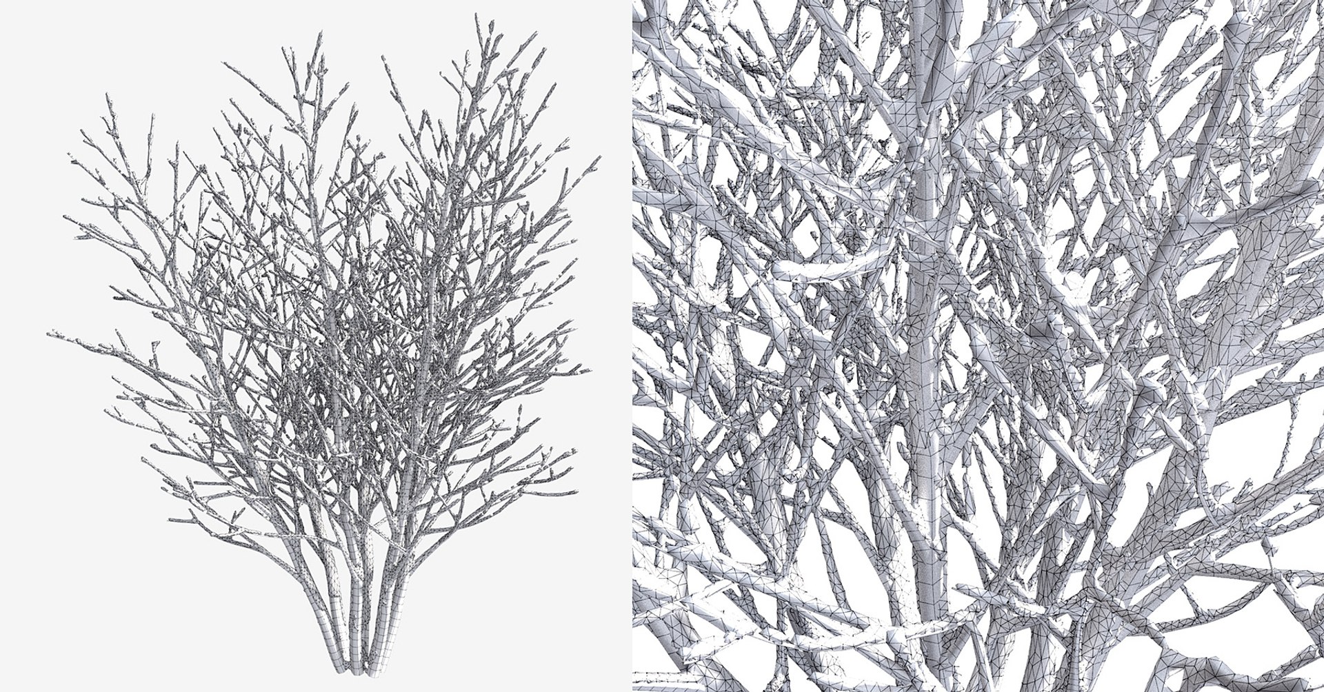 bushes 3D model https://p.turbosquid.com/ts-thumb/M4/6oQ7Bi/cgNXxXxH/bb_collection26/jpg/1541271335/1920x1080/fit_q87/76ee6bfe5e3f9c5c695cc0e1fac80b1ba6e49990/bb_collection26.jpg