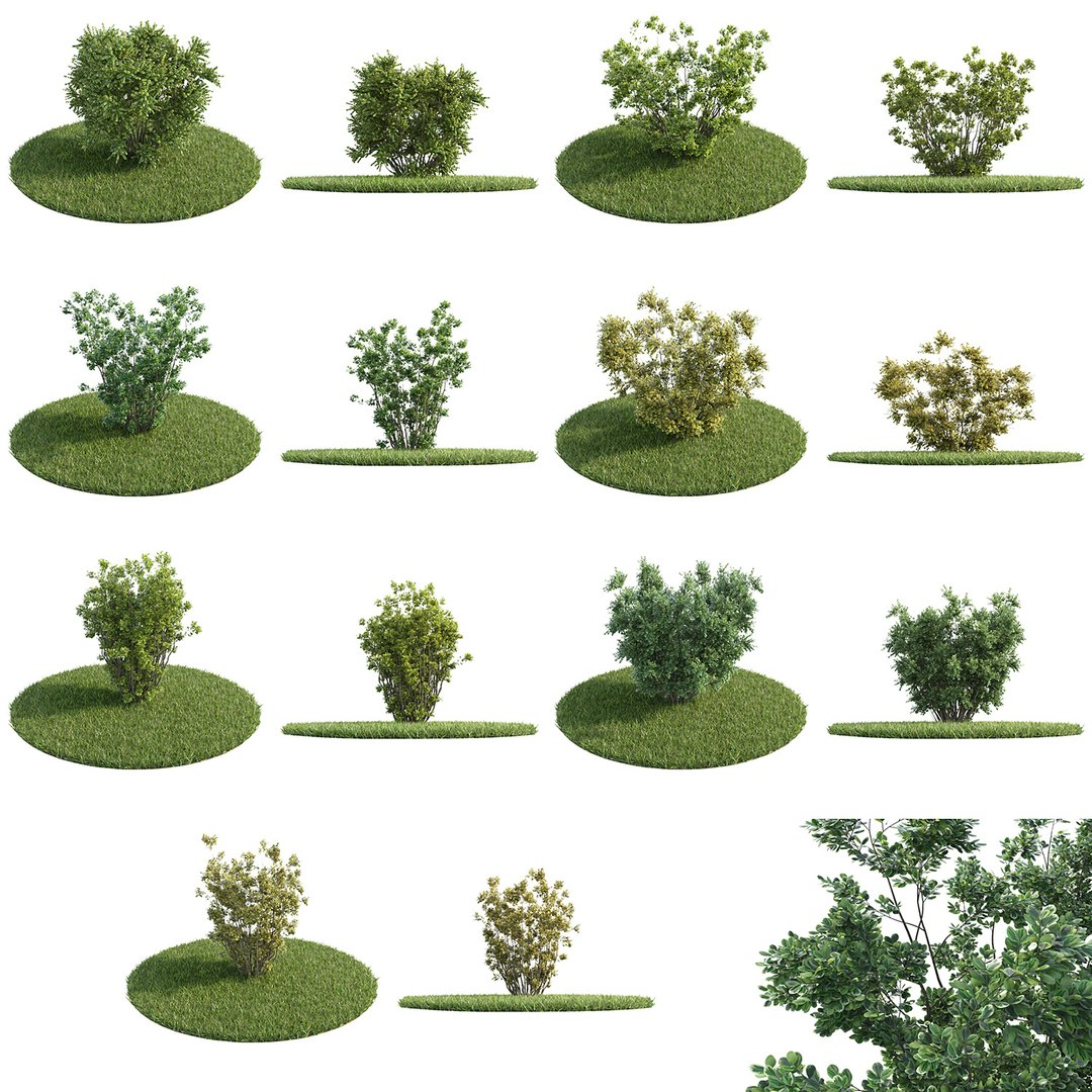 bushes 3D model https://p.turbosquid.com/ts-thumb/M4/6oQ7Bi/ikzfUOHc/bb_collection28/jpg/1541271359/1920x1080/fit_q87/3dc2f6ce4352400e78879b066191c8368720fdfc/bb_collection28.jpg
