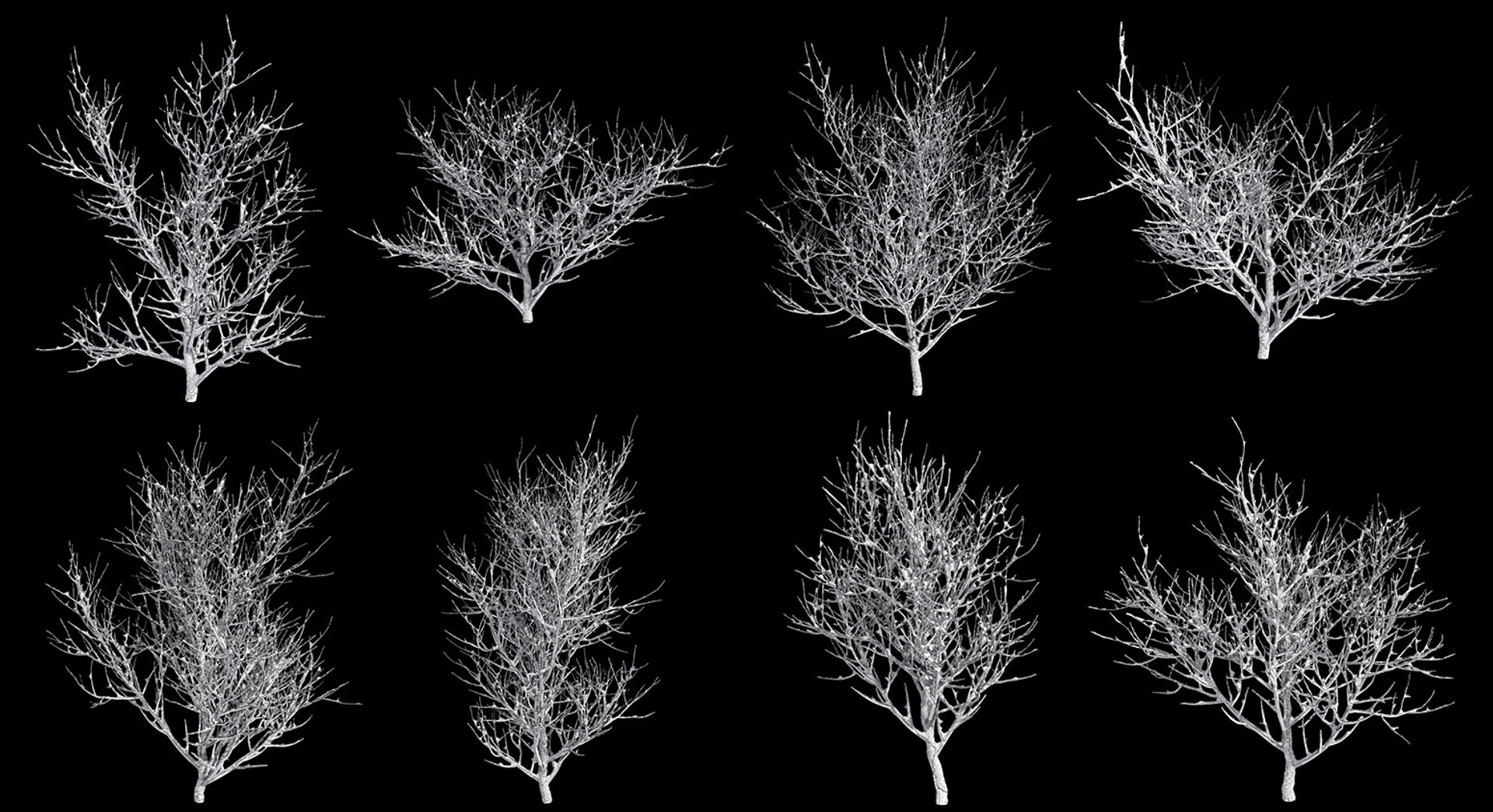 bushes 3D model https://p.turbosquid.com/ts-thumb/M4/6oQ7Bi/jDY6TKve/bb_collection14/jpg/1541271198/1920x1080/fit_q87/f38170de89b6f8e7e95ad6556ef4a70fdff978e8/bb_collection14.jpg