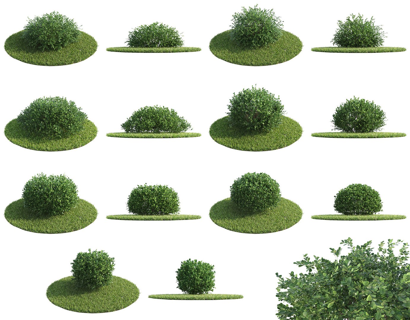 bushes 3D model https://p.turbosquid.com/ts-thumb/M4/6oQ7Bi/jFxM0iv1/bb_collection20/jpg/1541271282/1920x1080/fit_q87/47e9ec0c671ac782c962664276c4e3d01a18f717/bb_collection20.jpg