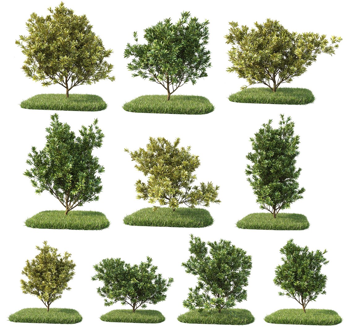 bushes 3D model https://p.turbosquid.com/ts-thumb/M4/6oQ7Bi/whoXAtot/bb_collection10/jpg/1541271163/1920x1080/fit_q87/af90e71b6e33ea3139c33508f3a3ef57d38bbb79/bb_collection10.jpg