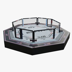 Fighting Octagon - 3D Model model