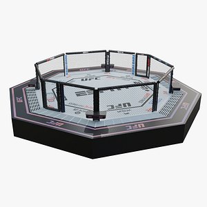 Fighting Octagon - 3D Model