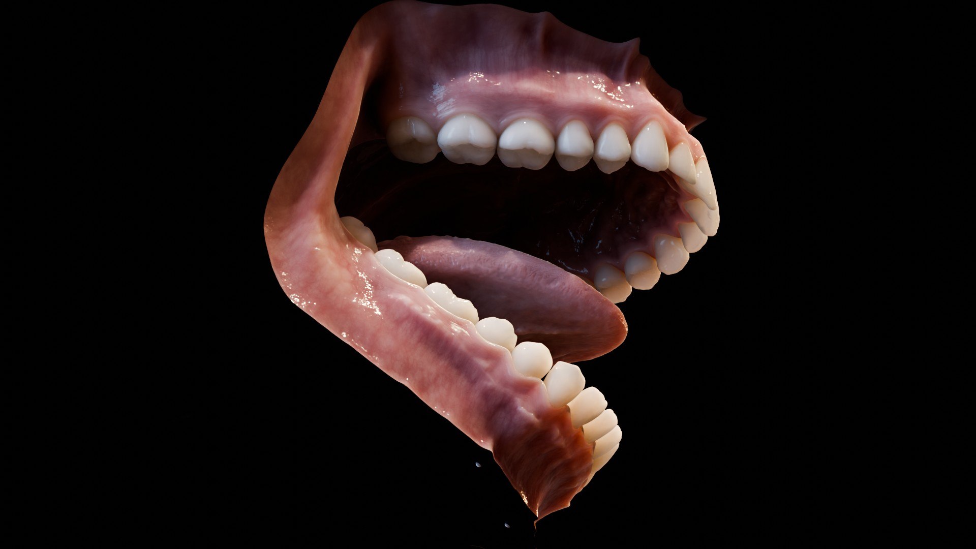 3D human mouth teeth model https://p.turbosquid.com/ts-thumb/M4/CSjedD/0G/r_02/jpg/1733129128/1920x1080/fit_q87/08f8fcfc1074bc1ca98cb601e5968f29f679a6f2/r_02.jpg