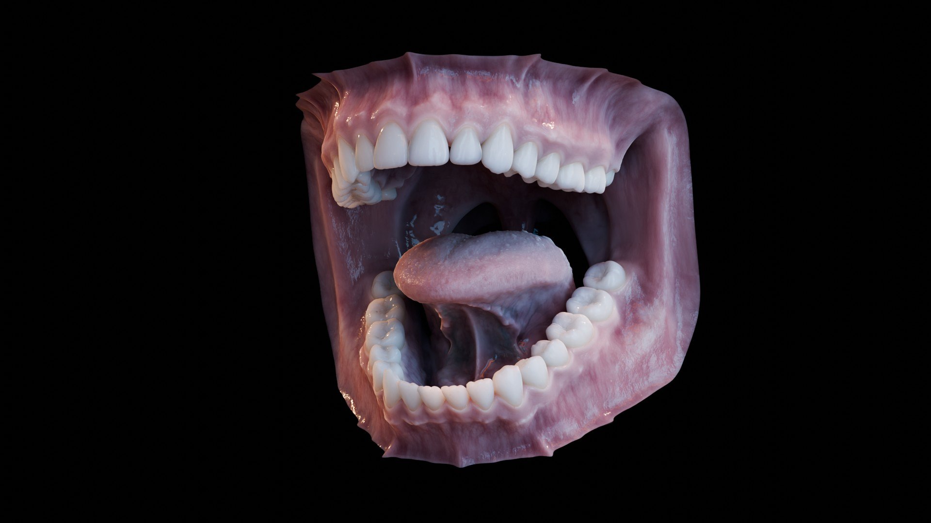 3D human mouth teeth model https://p.turbosquid.com/ts-thumb/M4/CSjedD/4l/r_32/jpg/1733129143/1920x1080/fit_q87/2a886bdd83a91a5067ddaf5d15991cf6b3ec3950/r_32.jpg