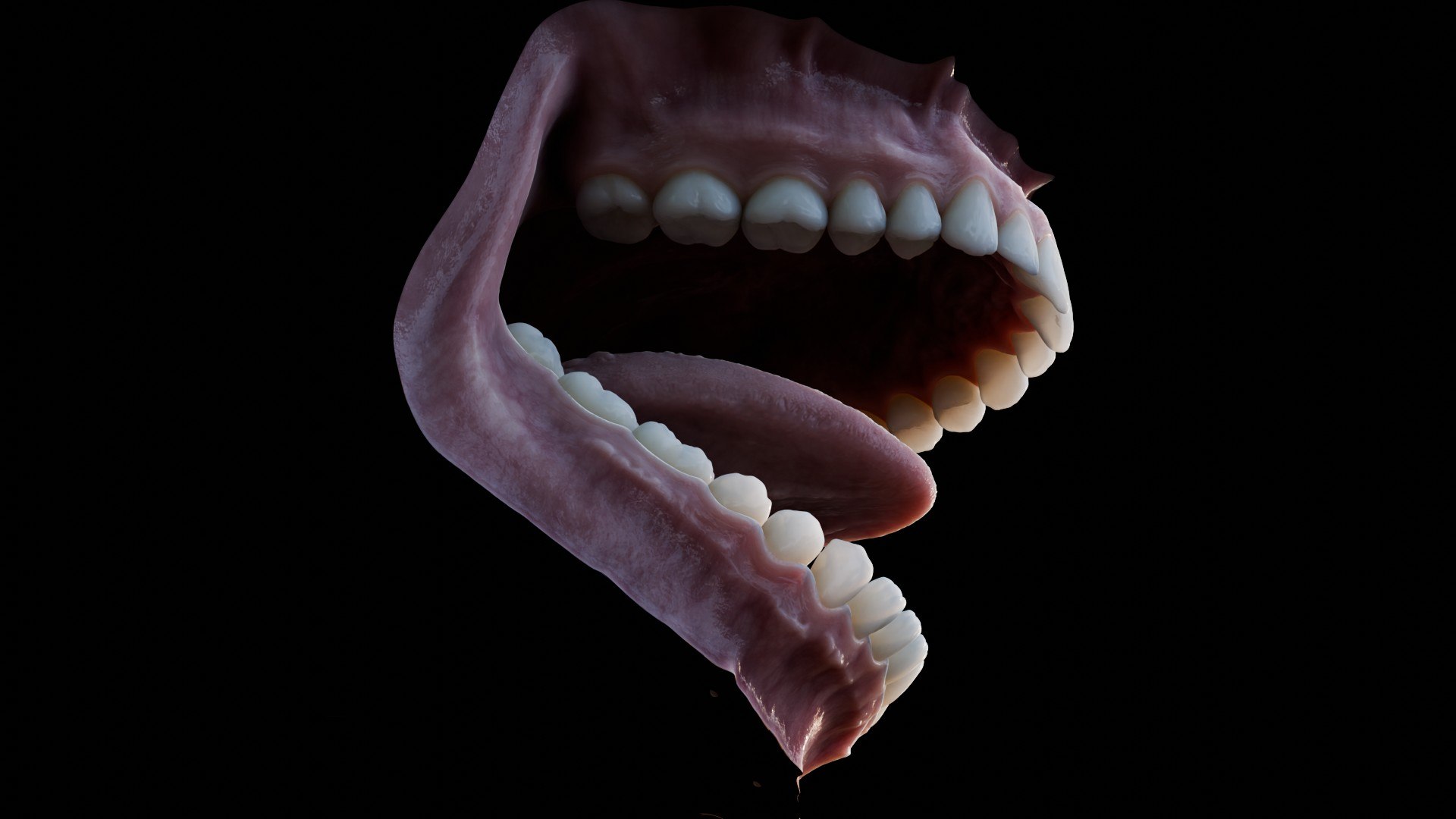 3D human mouth teeth model https://p.turbosquid.com/ts-thumb/M4/CSjedD/8m/r_09/jpg/1733129132/1920x1080/fit_q87/6b56152fec9a723c307adbf79f6bf1dbe5f97e5f/r_09.jpg