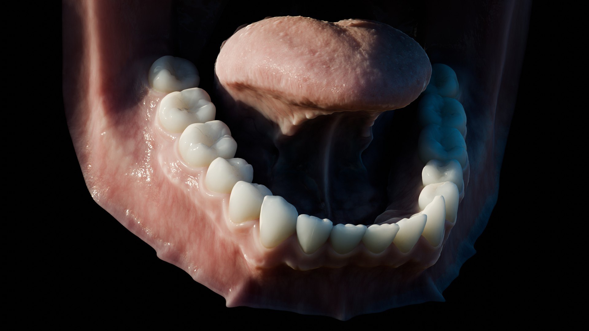 3D human mouth teeth model https://p.turbosquid.com/ts-thumb/M4/CSjedD/Ap/r_27/jpg/1733129141/1920x1080/fit_q87/ed56fd2879038fb3460ee6a4ea727512940d4fdf/r_27.jpg