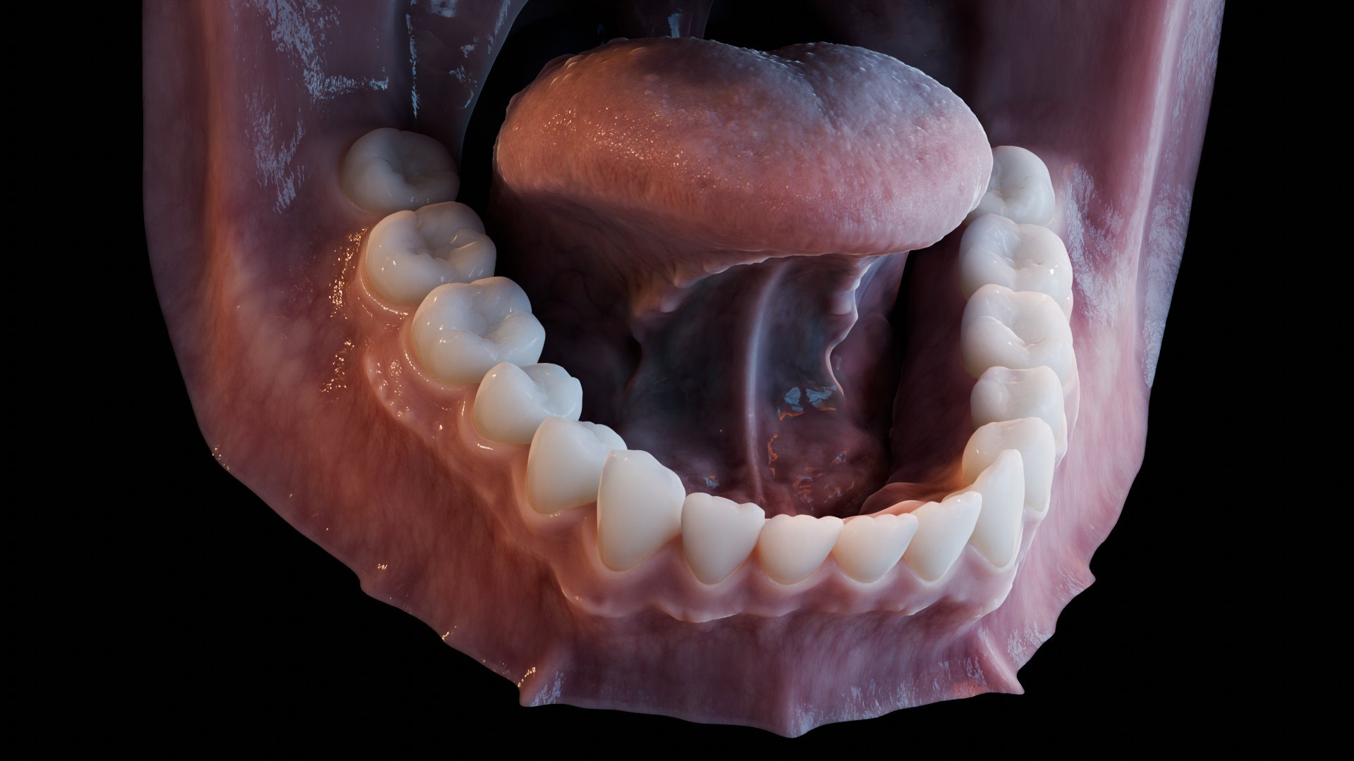3D human mouth teeth model https://p.turbosquid.com/ts-thumb/M4/CSjedD/D9/r_34/jpg/1733129144/1920x1080/fit_q87/9b895b9f08e81ace0dd28d3ef4cb2f8c04054d15/r_34.jpg