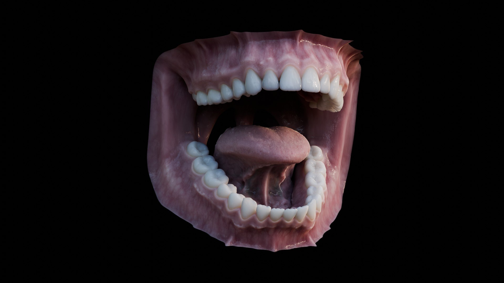 3D human mouth teeth model https://p.turbosquid.com/ts-thumb/M4/CSjedD/GB/r_10/jpg/1733129132/1920x1080/fit_q87/69782d5207d912eb7128ae6d071d9a5faa6af55a/r_10.jpg