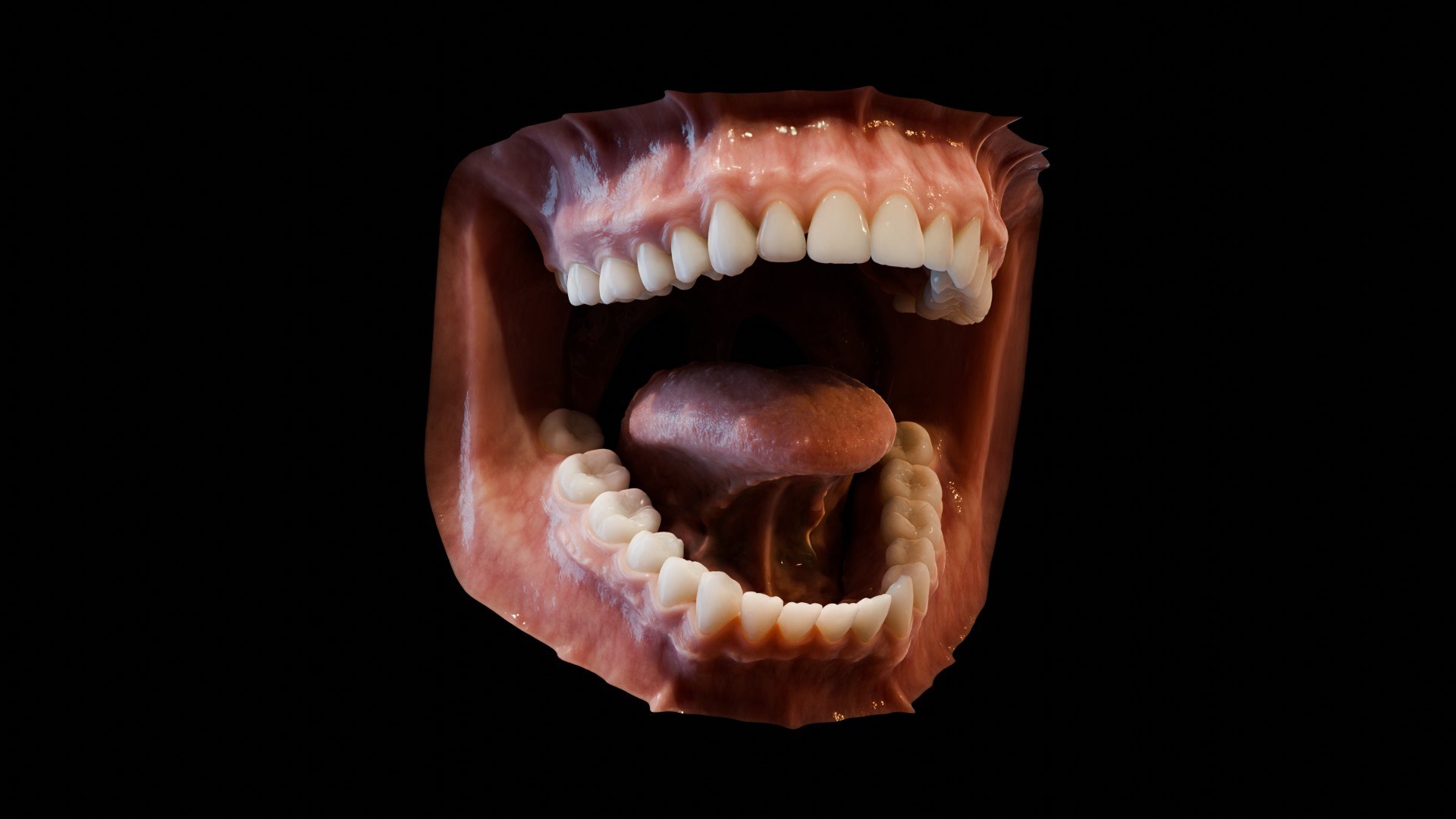 3D human mouth teeth model https://p.turbosquid.com/ts-thumb/M4/CSjedD/GW/r_03/jpg/1733129129/1920x1080/fit_q87/2e18259b610f59e7594a495f566aa54b780d2afd/r_03.jpg
