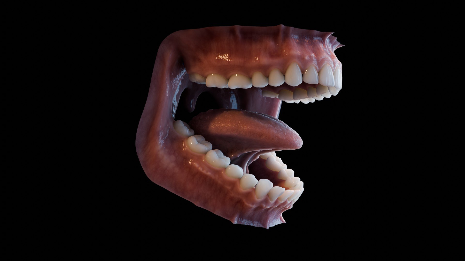 3D human mouth teeth model https://p.turbosquid.com/ts-thumb/M4/CSjedD/Ld/r_28/jpg/1733129141/1920x1080/fit_q87/5fdac84defbc52a91569a25489b36540c42b34b2/r_28.jpg