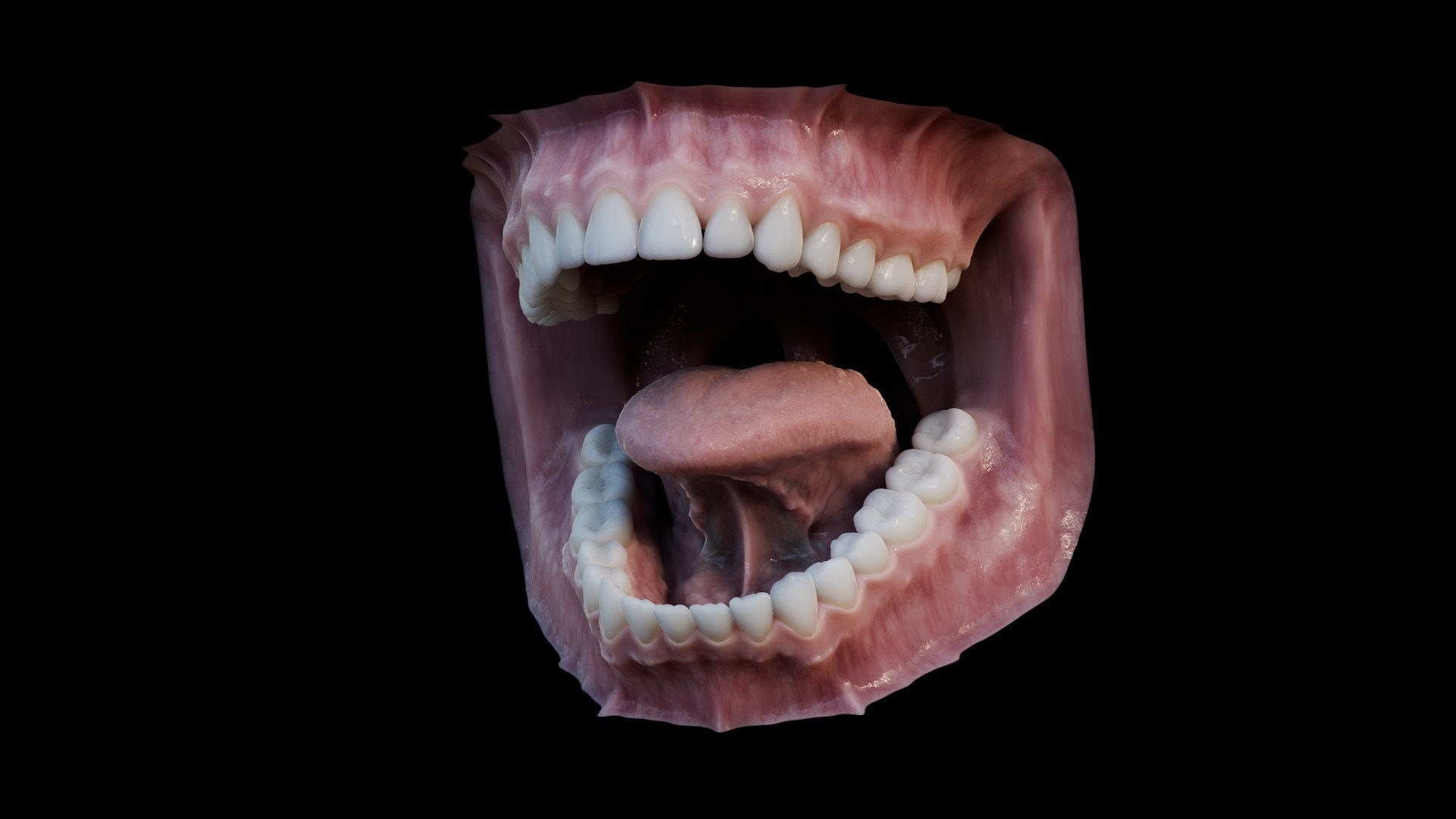 3D human mouth teeth model https://p.turbosquid.com/ts-thumb/M4/CSjedD/NA/r_11/jpg/1733129133/1920x1080/fit_q87/854c10821fb7be33f8f566d7988e93be8e66652d/r_11.jpg