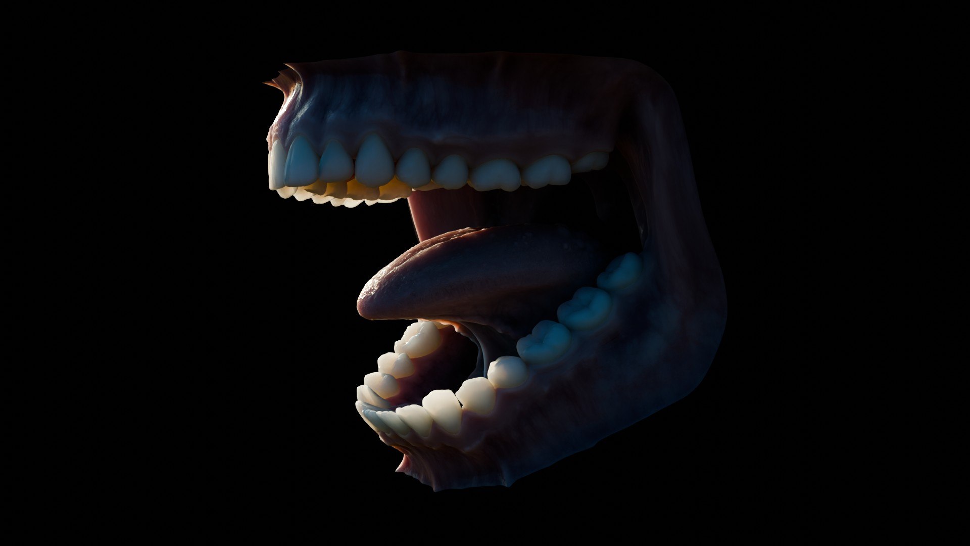 3D human mouth teeth model https://p.turbosquid.com/ts-thumb/M4/CSjedD/NB/r_22/jpg/1733129138/1920x1080/fit_q87/8221afa06f810582fd2d26285883101c4ada3eb8/r_22.jpg