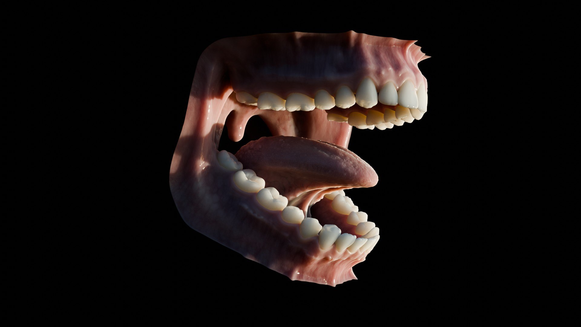 3D human mouth teeth model https://p.turbosquid.com/ts-thumb/M4/CSjedD/NC/r_14/jpg/1733129134/1920x1080/fit_q87/303465a6753703c289bc09a663a9d3a7f020b2d3/r_14.jpg