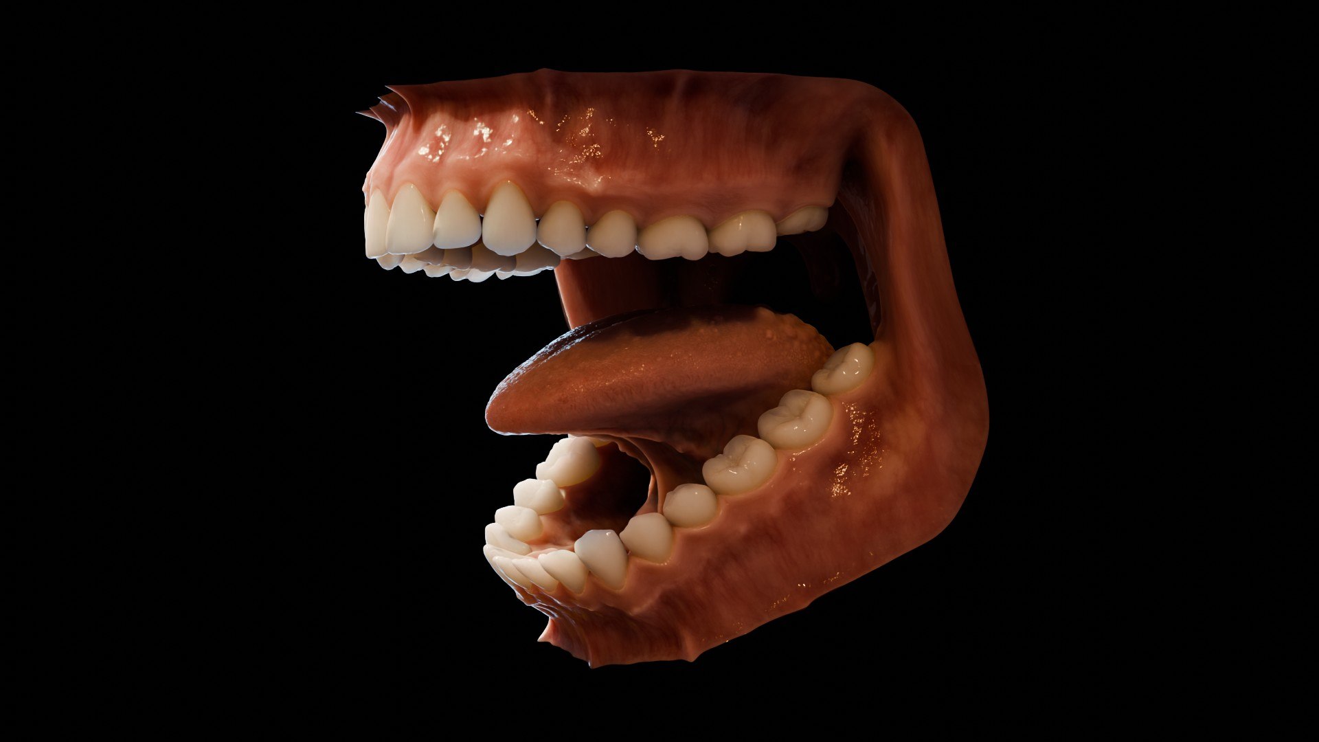 3D human mouth teeth model https://p.turbosquid.com/ts-thumb/M4/CSjedD/Ns/r_01/jpg/1733129128/1920x1080/fit_q87/51ac82f28c565915a77d298accb54fe8dc81a5f1/r_01.jpg