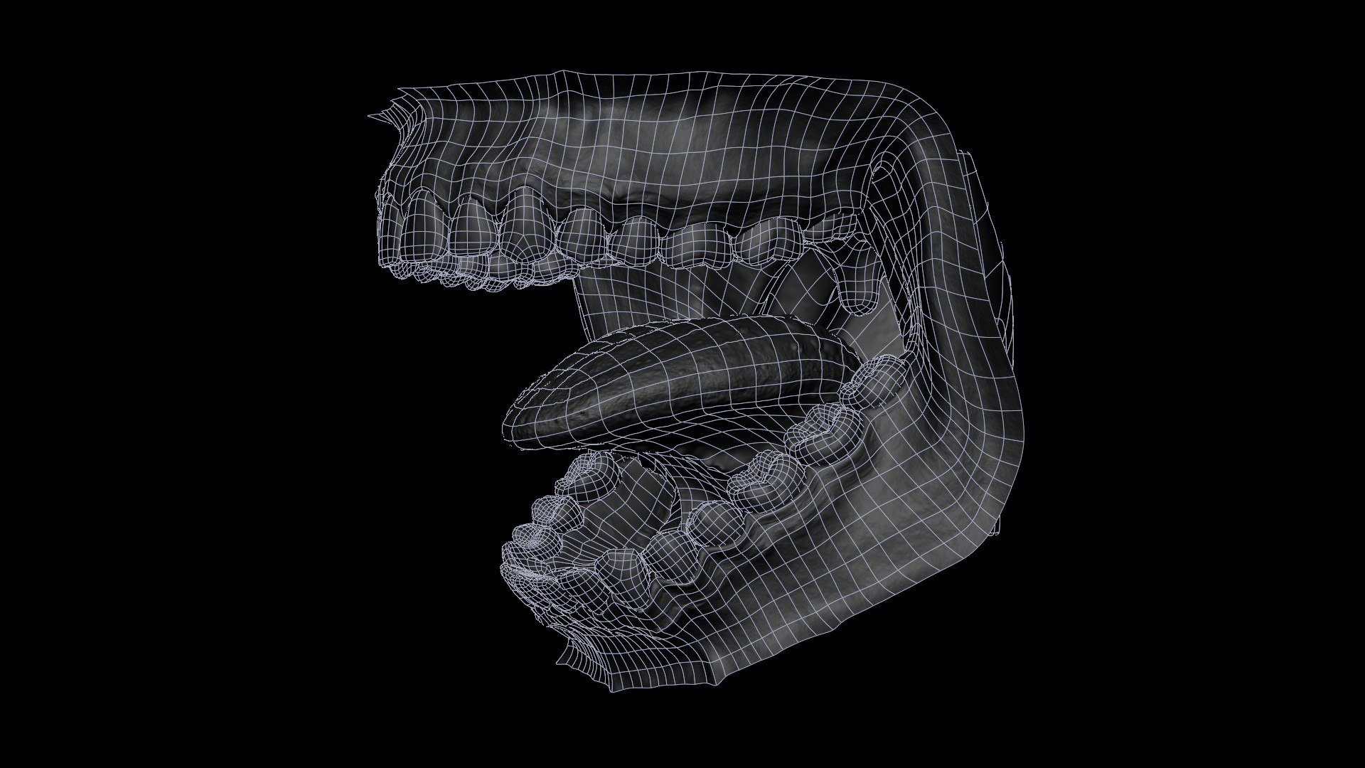 3D human mouth teeth model https://p.turbosquid.com/ts-thumb/M4/CSjedD/O0/wireframe_01/jpg/1733129149/1920x1080/fit_q87/dd092fd9cf85e8f5a53a951b7889b71d558405b4/wireframe_01.jpg