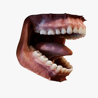 Photorealistic human mouth