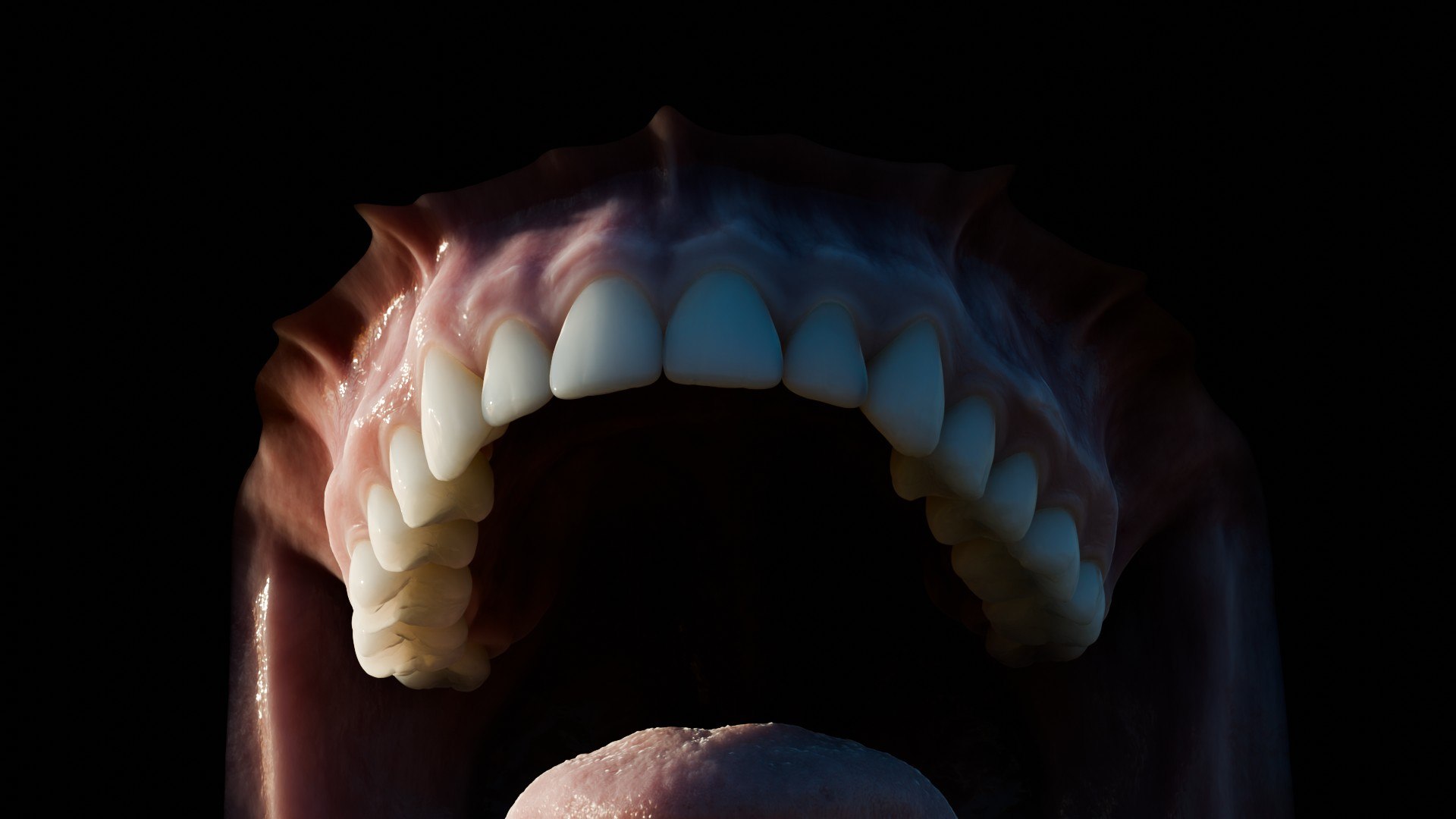 3D human mouth teeth model https://p.turbosquid.com/ts-thumb/M4/CSjedD/RB/r_26/jpg/1733129140/1920x1080/fit_q87/ee9a83c042e5171ca0ceccf2ff3163509a263620/r_26.jpg