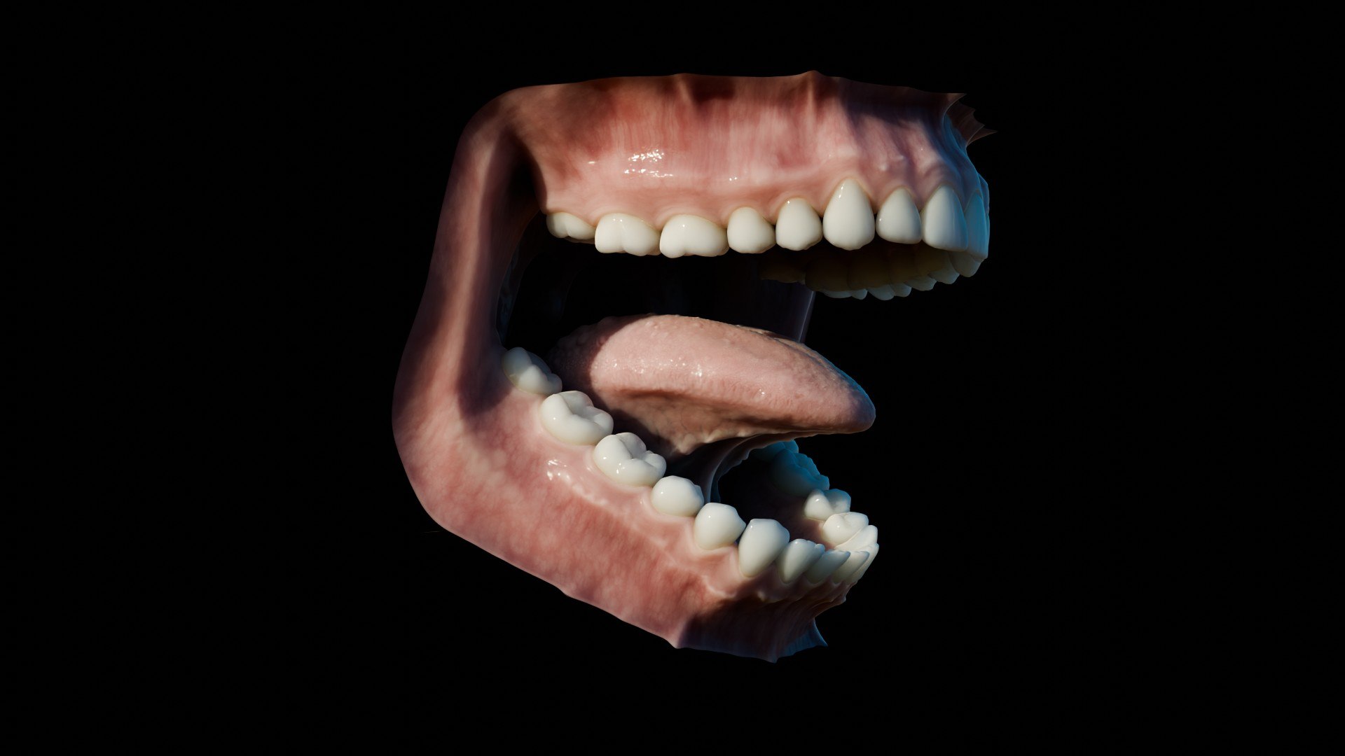 3D human mouth teeth model https://p.turbosquid.com/ts-thumb/M4/CSjedD/aB/r_21/jpg/1733129138/1920x1080/fit_q87/2d5822b339fd7145933c96431be3e2311cb5006c/r_21.jpg