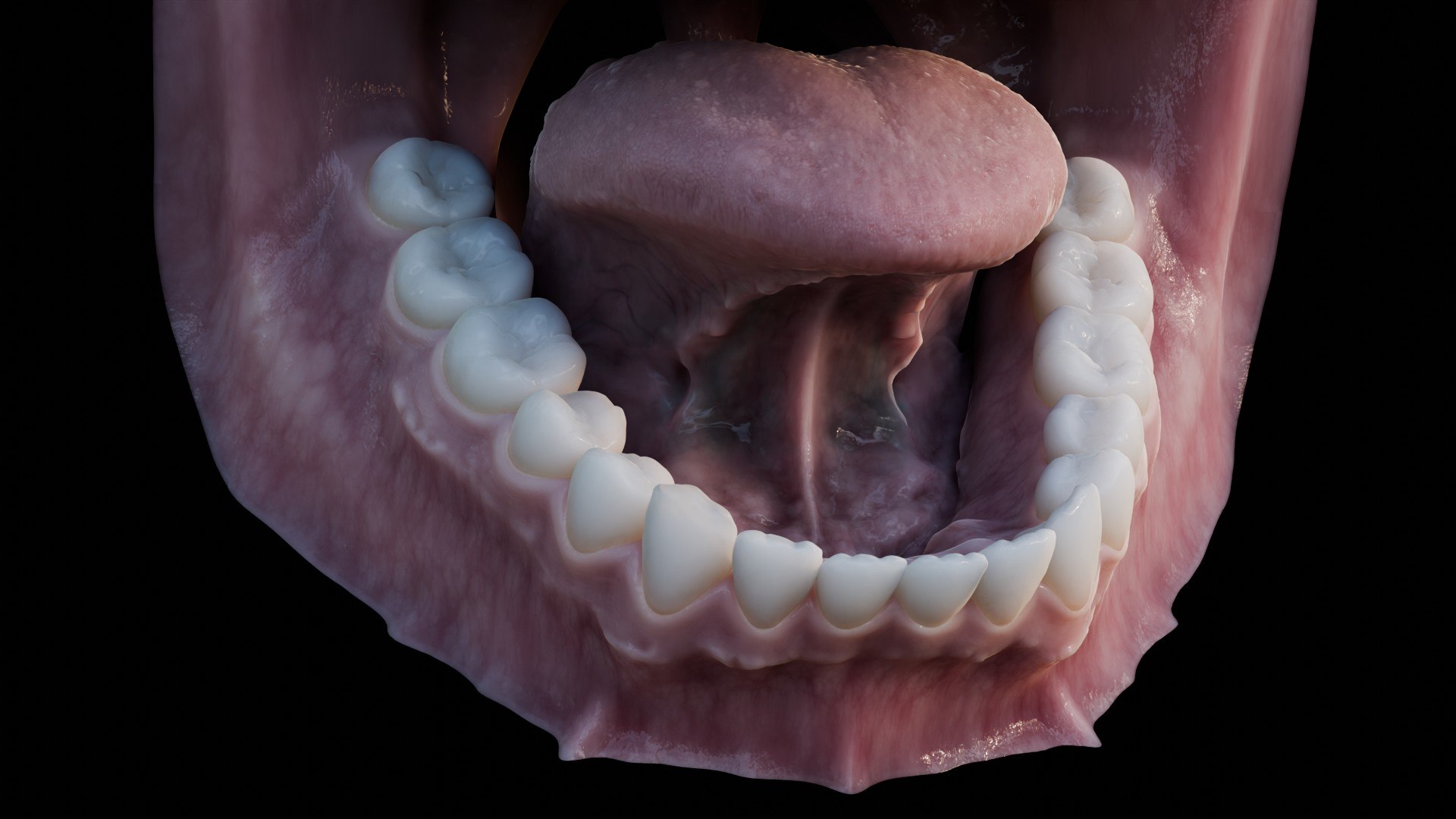3D human mouth teeth model https://p.turbosquid.com/ts-thumb/M4/CSjedD/c8/r_13/jpg/1733129134/1920x1080/fit_q87/47d34f4b63aeef8b02b238e303ad88484d9c357b/r_13.jpg