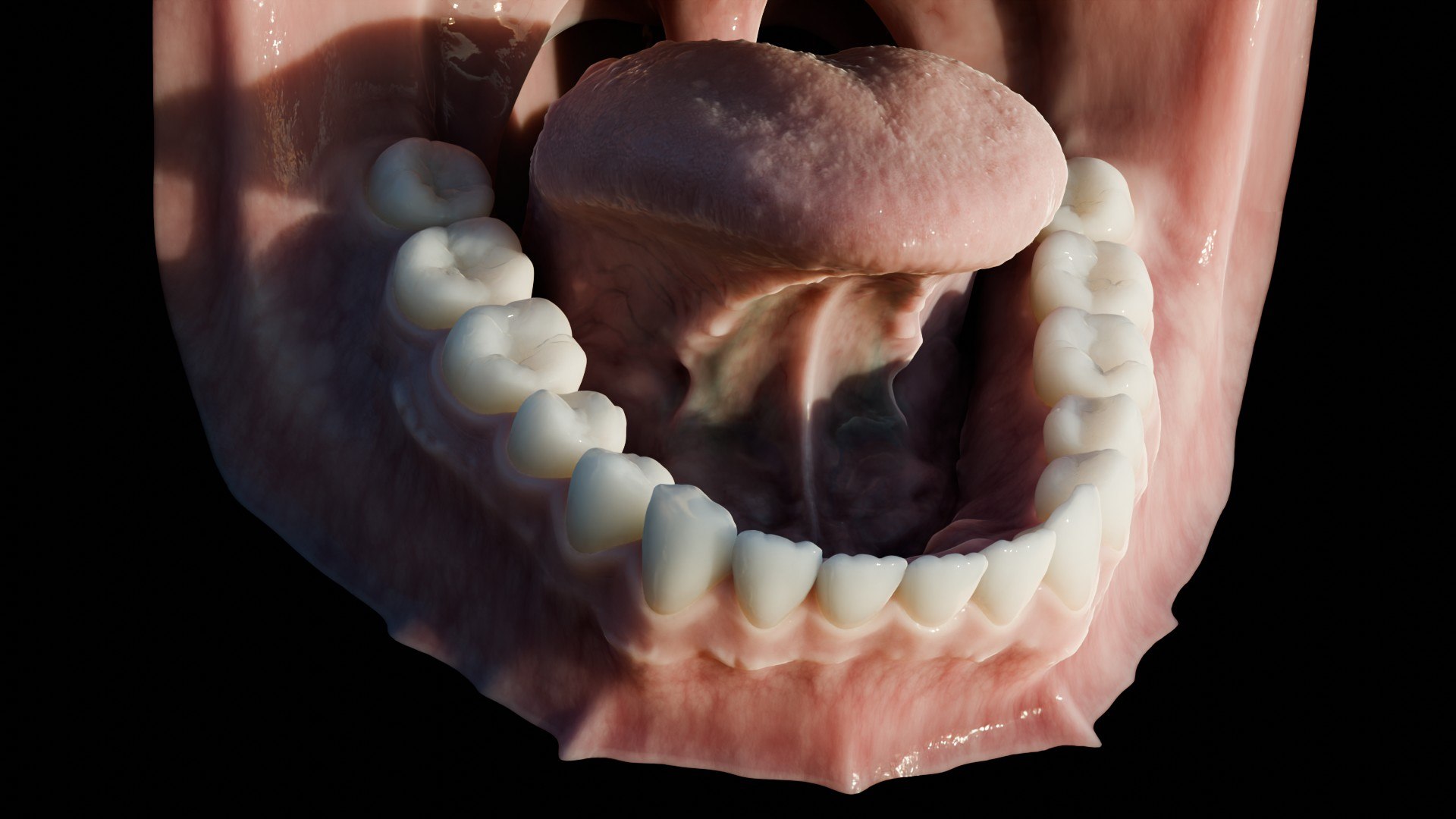 3D human mouth teeth model https://p.turbosquid.com/ts-thumb/M4/CSjedD/cM/r_20/jpg/1733129137/1920x1080/fit_q87/aa545109251f40d8939fa4f5b95f223b3218ec6f/r_20.jpg