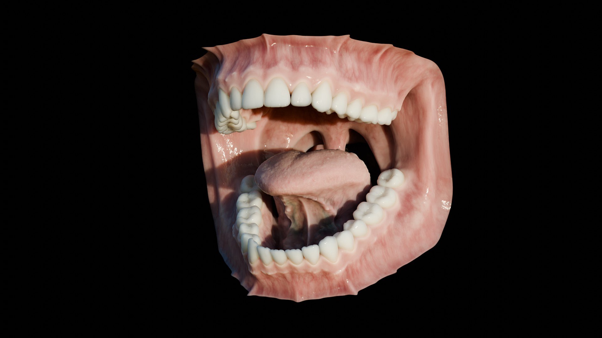 3D human mouth teeth model https://p.turbosquid.com/ts-thumb/M4/CSjedD/gr/r_18/jpg/1733129136/1920x1080/fit_q87/a8e53fb257ee9ac84aefa5cd11fb8e3f525f6321/r_18.jpg