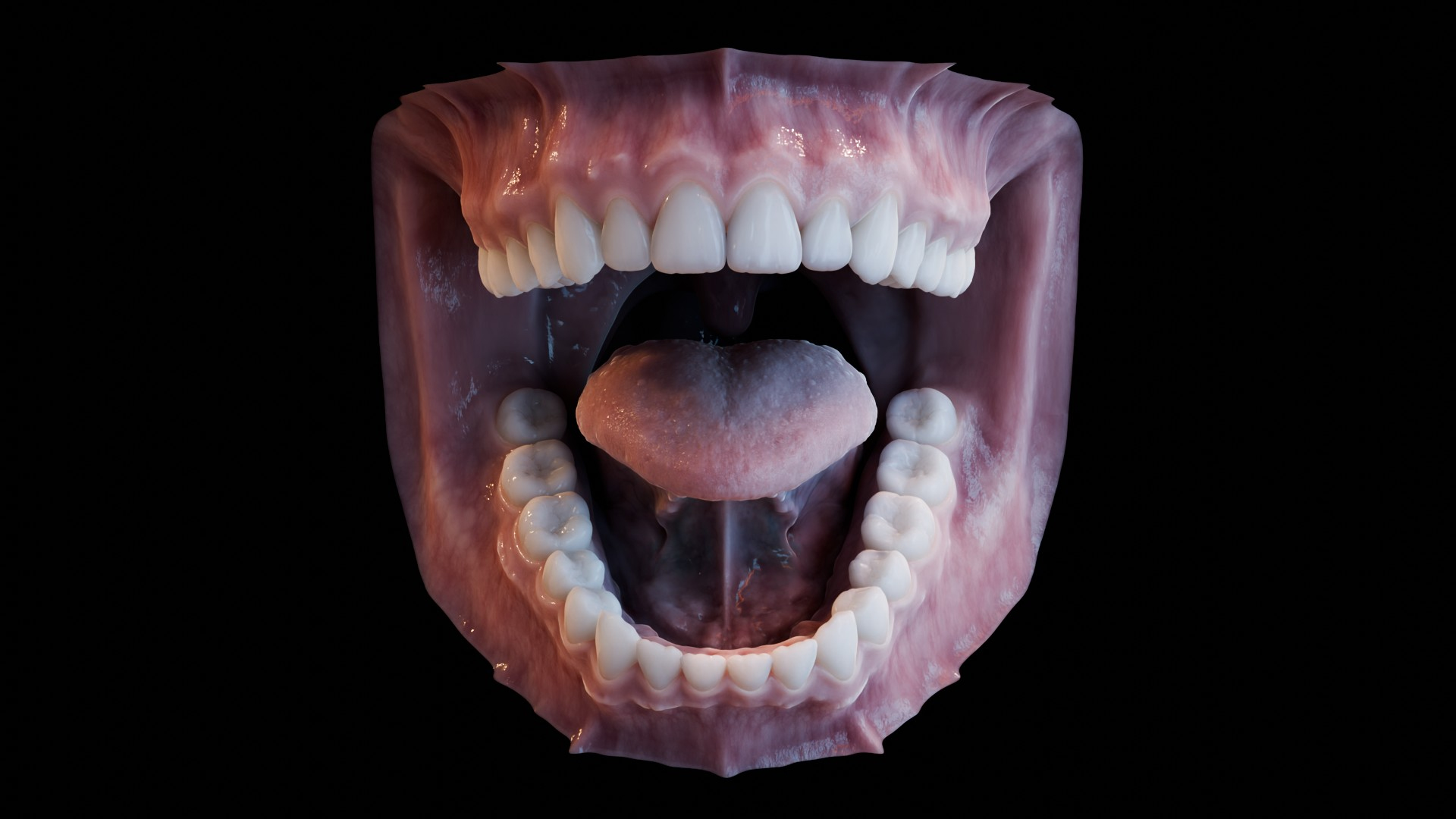 3D human mouth teeth model https://p.turbosquid.com/ts-thumb/M4/CSjedD/i1/rt2/jpg/1733129090/1920x1080/turn_fit_q99/f6abd0f9cc8323d9126152d018f527f16c0ac03c/rt2-1.jpg