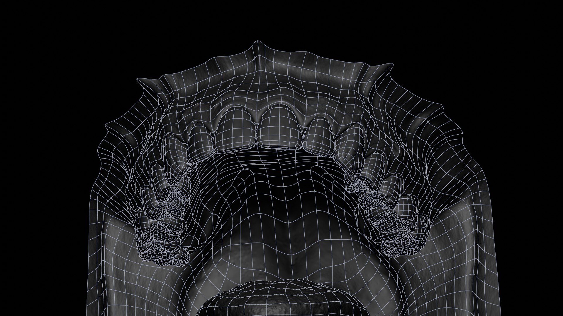 3D human mouth teeth model https://p.turbosquid.com/ts-thumb/M4/CSjedD/jo/wireframe_05/jpg/1733129151/1920x1080/fit_q87/2126f2c4dfa11e256a64cd8136915fbd97d18661/wireframe_05.jpg