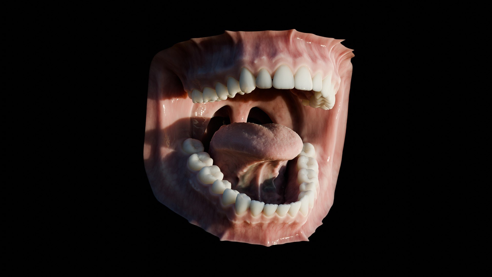 3D human mouth teeth model https://p.turbosquid.com/ts-thumb/M4/CSjedD/x9/r_17/jpg/1733129136/1920x1080/fit_q87/8cf0d49656df3635b916d9d2e272fe1b7e1329c4/r_17.jpg