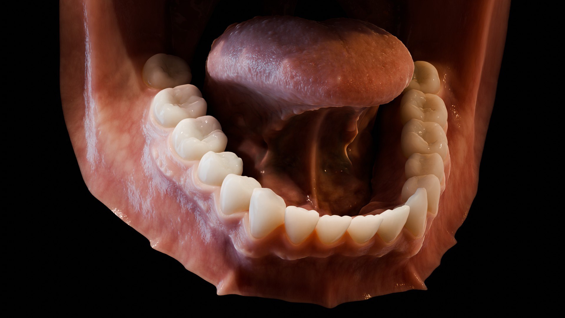 3D human mouth teeth model https://p.turbosquid.com/ts-thumb/M4/CSjedD/xZ/r_06/jpg/1733129130/1920x1080/fit_q87/c32b95c39bbd39e9a5fe2a9c63ab1f10f4093b0e/r_06.jpg