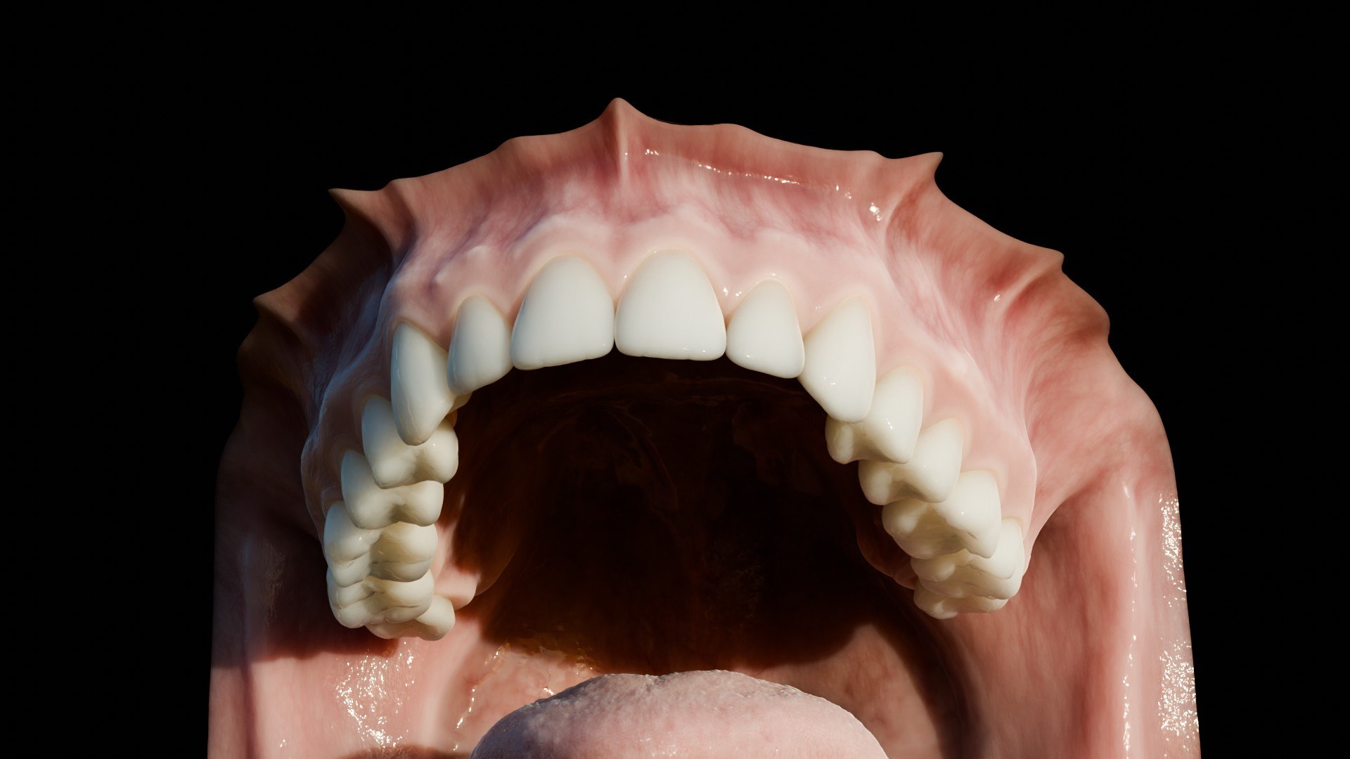 3D human mouth teeth model https://p.turbosquid.com/ts-thumb/M4/CSjedD/xl/r_19/jpg/1733129137/1920x1080/fit_q87/13e5beb15bf4524297a6b894647c29ffb5d906b6/r_19.jpg