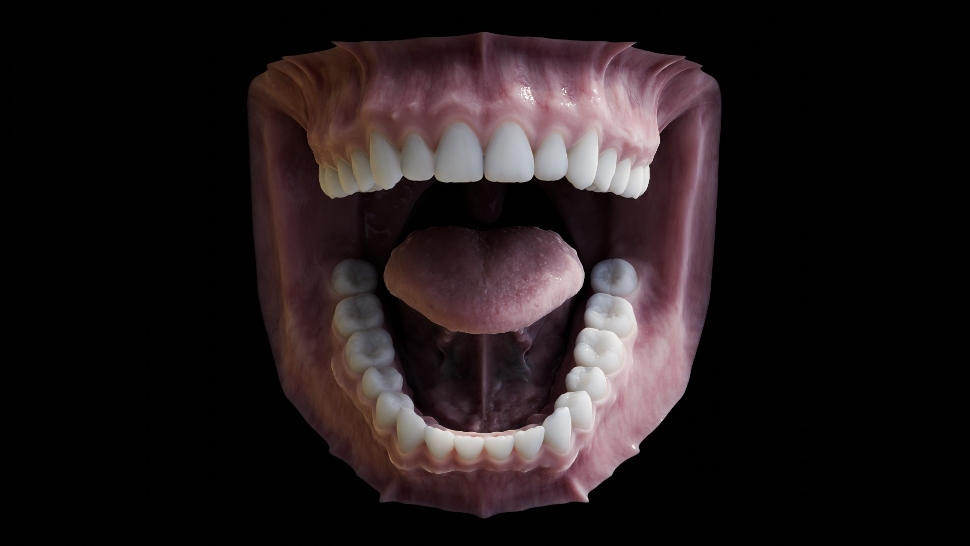 3D human mouth teeth model https://p.turbosquid.com/ts-thumb/M4/CSjedD/yR/rt/jpg/1733129075/1920x1080/turn_fit_q99/9a56720984705ae9e25e5bff42f6706a0bf8b6d6/rt-1.jpg
