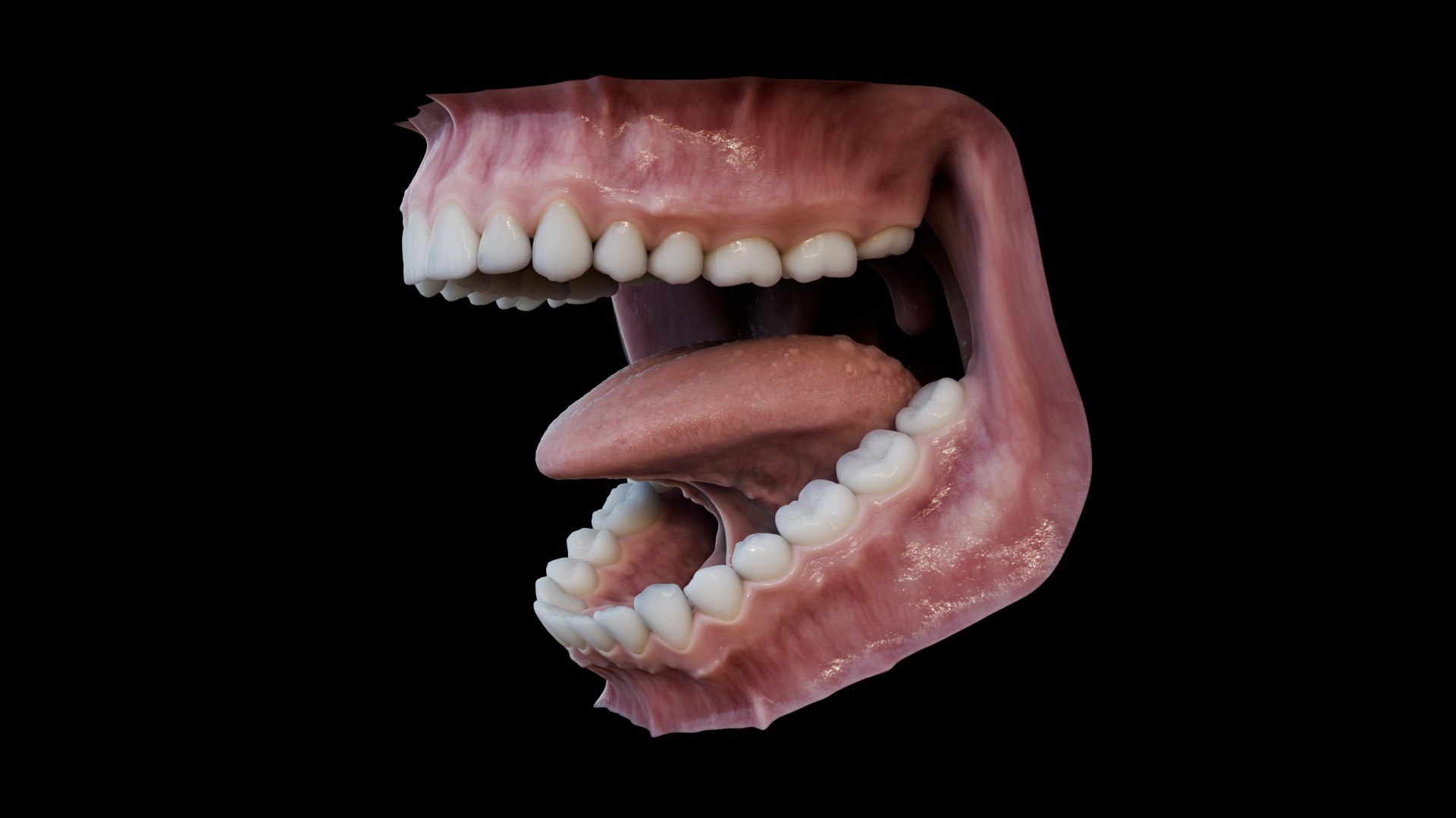 3D human mouth teeth model https://p.turbosquid.com/ts-thumb/M4/CSjedD/z2/r_08/jpg/1733129131/1920x1080/fit_q87/be80cc4669dca48b05a4447408aea16991378bb5/r_08.jpg