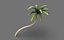 palm tree 3D model