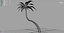 palm tree 3D model