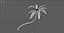palm tree 3D model