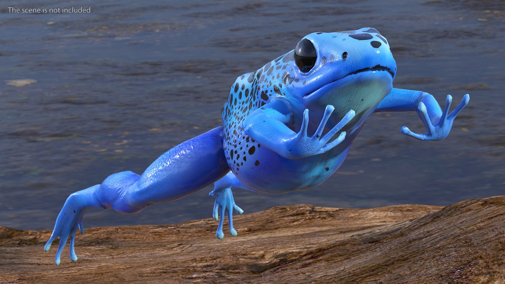 Dendrobates Tinctorius Jumping Pose 3D https://p.turbosquid.com/ts-thumb/M4/YUgAmh/Ua/dendrobatestinctoriusjumpingpose3dmodel005/jpg/1707049418/1920x1080/fit_q87/8182128d9a6927497a469111a9cc07bd2722bd09/dendrobatestinctoriusjumpingpose3dmodel005.jpg
