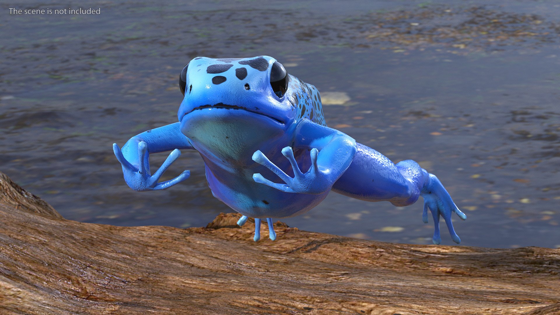 Dendrobates Tinctorius Jumping Pose 3D https://p.turbosquid.com/ts-thumb/M4/YUgAmh/gX/dendrobatestinctoriusjumpingpose3dmodel004/jpg/1707049413/1920x1080/fit_q87/cf1ab2a37f2c302a0381c654f272f575868a940c/dendrobatestinctoriusjumpingpose3dmodel004.jpg