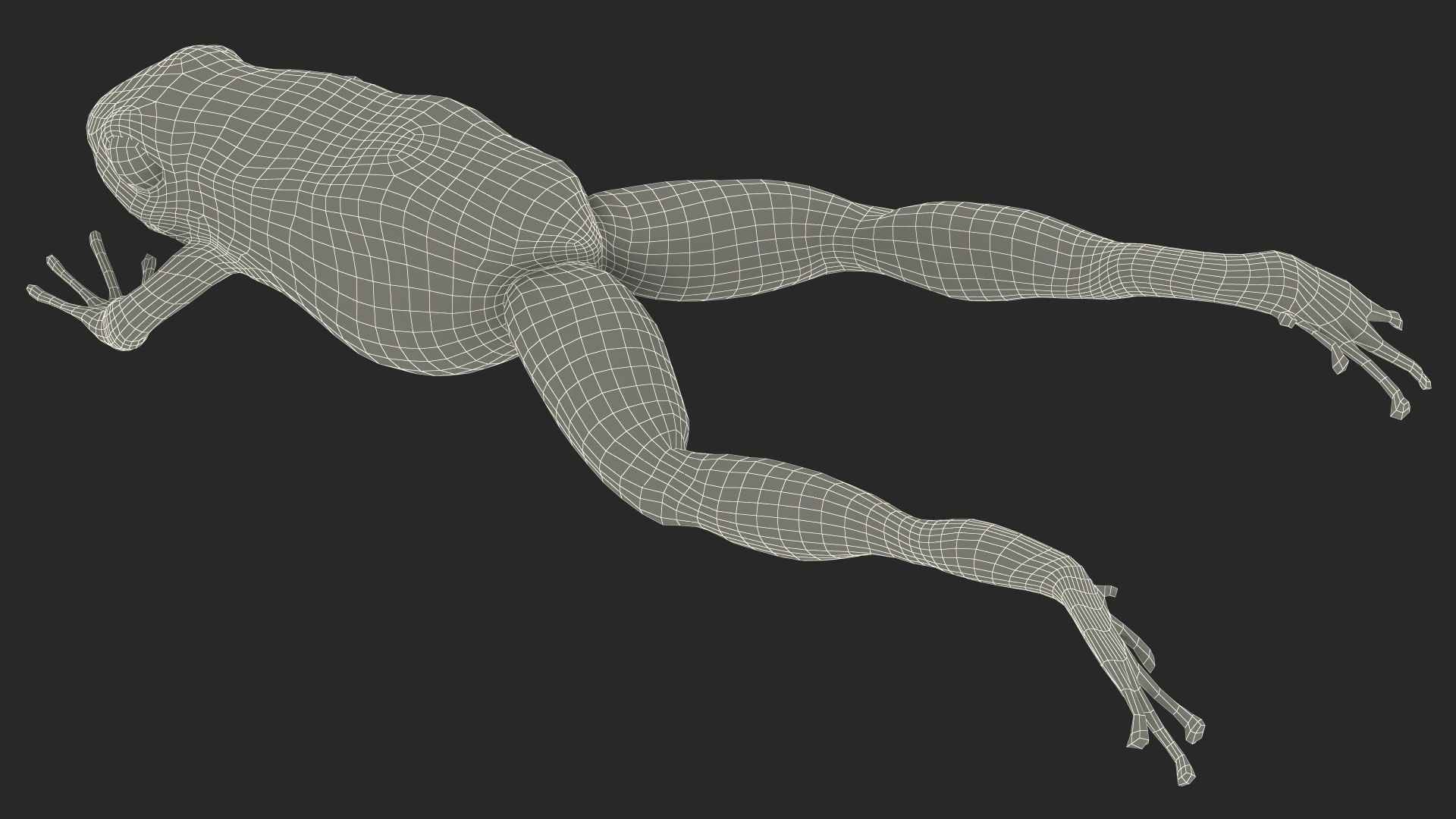 Dendrobates Tinctorius Jumping Pose 3D https://p.turbosquid.com/ts-thumb/M4/YUgAmh/jT/dendrobatestinctoriusjumpingpose3dmodel029/jpg/1707049527/1920x1080/fit_q87/c9191b884c56554b57c63e8dad188495c4d237d1/dendrobatestinctoriusjumpingpose3dmodel029.jpg
