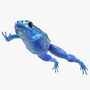 Dendrobates Tinctorius Jumping Pose