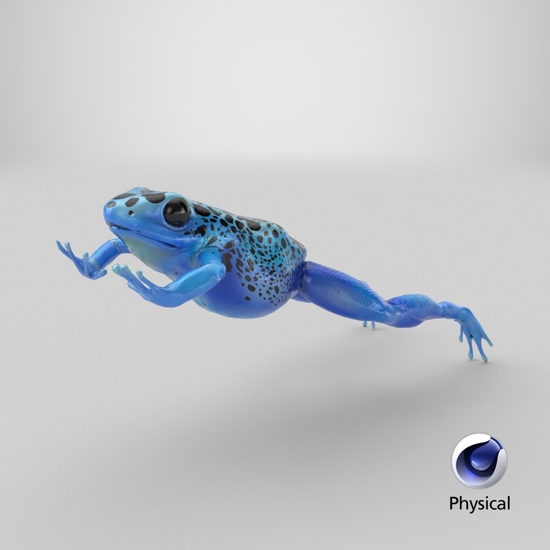 Dendrobates Tinctorius Jumping Pose 3D https://p.turbosquid.com/ts-thumb/M4/YUgAmh/xX/stemcell_cinema_4d_physical_render/png/1710405984/1920x1080/fit_q87/d80412b032cb1411ebf76a5471c4efb83290f471/stemcell_cinema_4d_physical_render.jpg