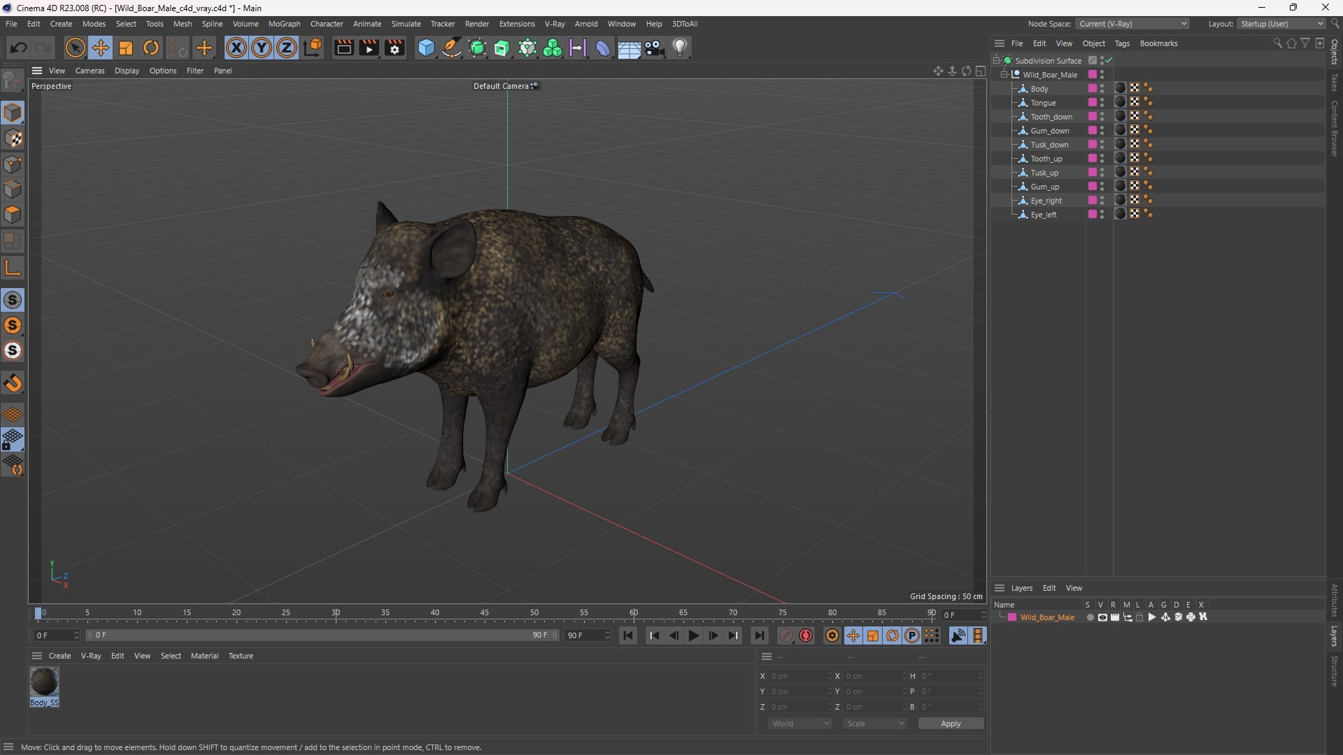 3D Wild Boar Male model https://p.turbosquid.com/ts-thumb/M4/jXKeO3/Lk/wild_boar_male_1003/jpg/1759984308/1920x1080/fit_q87/64778e4d0a02911a562c74ea1ce36a9962810568/wild_boar_male_1003.jpg