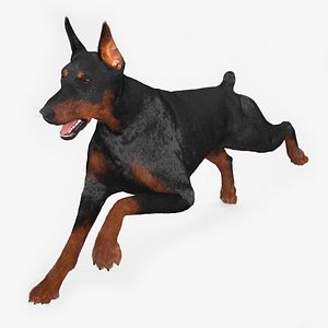 Doberman Pinscher Running Fur 3D
