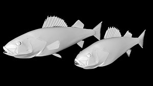 3D walleye fish model