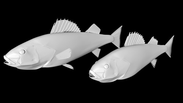 3d walleye fish model
