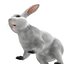 White Rabbit Max