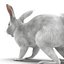 White Rabbit Max