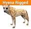 hyena rigged